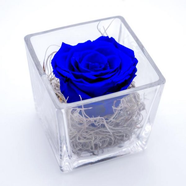 Forever Rose Μπλε σε Γυάλινο κύβο Forever Rose Μπλε σε Γυάλινο κύβο