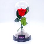 forever rose κόκκινο