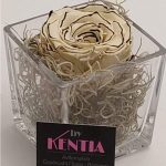 Τριαντάφυλλο γυάλινος κύβος