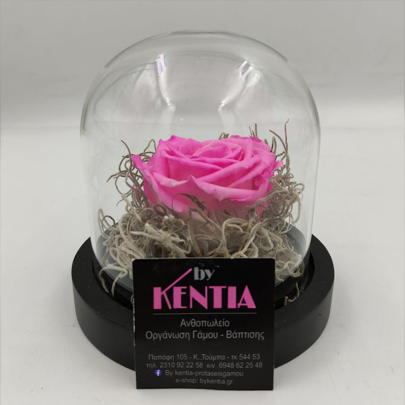 Καμπάνα Minimal Ροζ