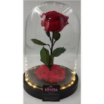 Καμπάνα Φωτιζόμενη με μεγάλη βάση και μεγαλοκέφαλο Verdissimo Τριαντάφυλλο - Image 2