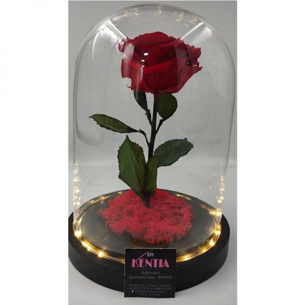 Καμπάνα Φωτιζόμενη με μεγάλη βάση και μεγαλοκέφαλο Verdissimo Τριαντάφυλλο - Image 2