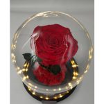 Καμπάνα Φωτιζόμενη με μεγάλη βάση και μεγαλοκέφαλο Verdissimo Τριαντάφυλλο