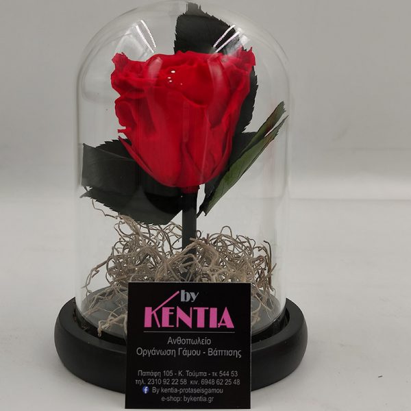 forever-rose-kokkino_16cm Forever Rose Κόκκινο