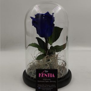 Forever Rose Μπλε