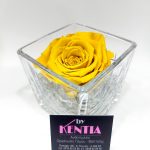 forever rose κίτρινο σε γυάλινο κύβο