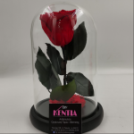 forever rose μπορντό