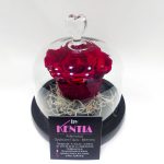 forever rose μπορντό σε καμπάνα